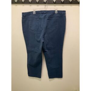 Ellen Tracey Blue pants, jean style but brushed blue color Size 22W